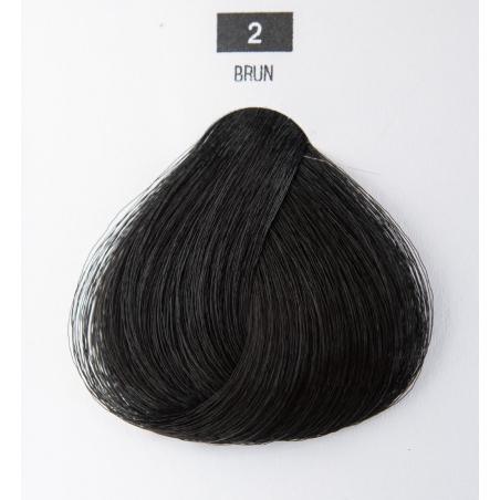 Dark brown N°2 - HAIR CREAM COLOURINGS WITH ORGANIC ALOE VERA