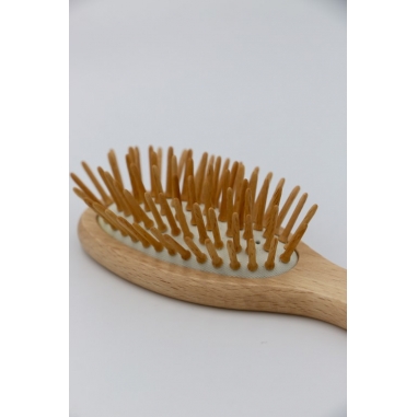 Brosse petit modele