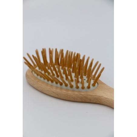 Brosse petit modele