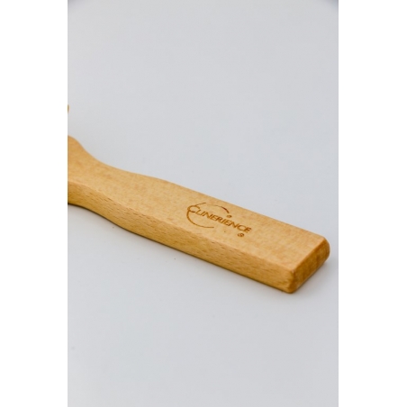 Brosse petit modele