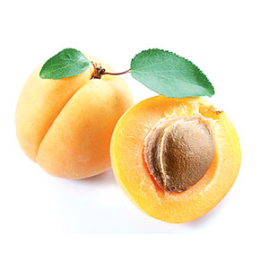 APRICOT