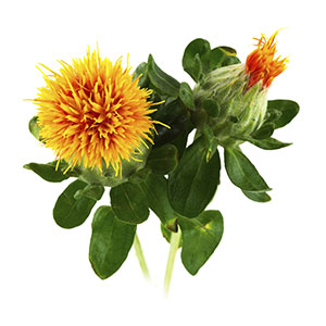 ORGANIC SAFFLOWER