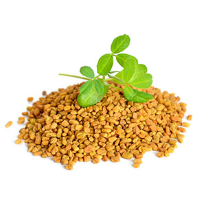 FENUGREEK