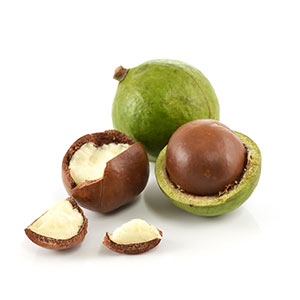 MACADAMIA