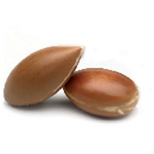 NOIX D&rsquo;ARGAN