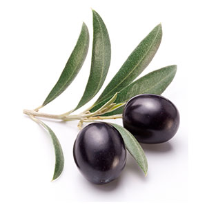 ORGANIC OLIVE