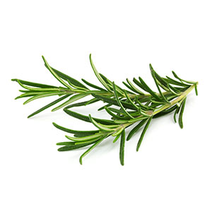 ROSEMARY